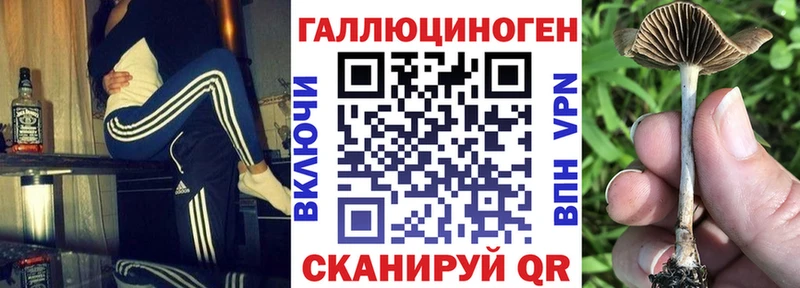 Галлюциногенные грибы Psilocybe  MEGA маркетплейс  Суровикино 