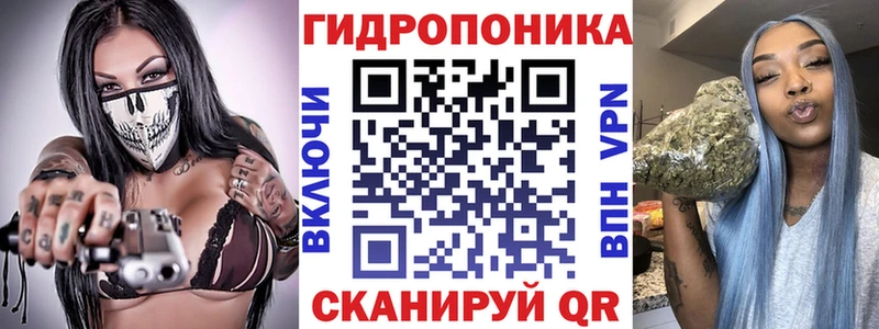 цена   Суровикино  Каннабис OG Kush 